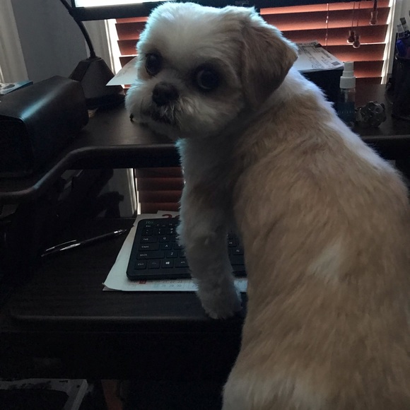 Meet your Posher, Sim - Picture 1 of 6